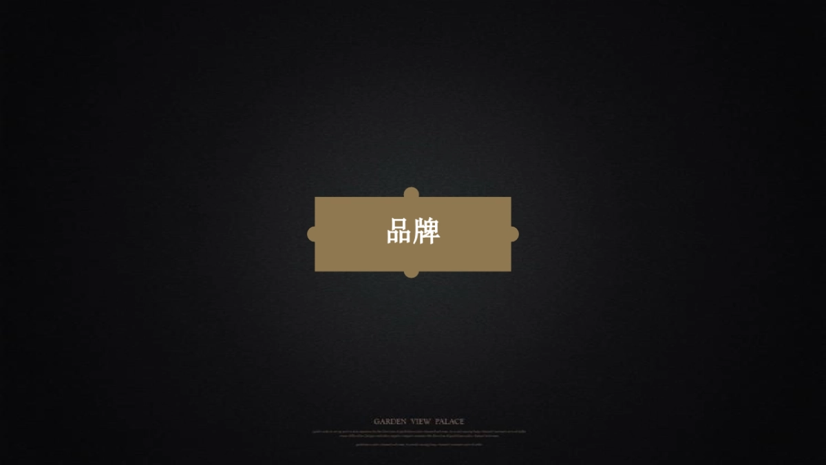 大拿中国-蓝光BRC年长沙项目起势及年度策略推广方案_第10页