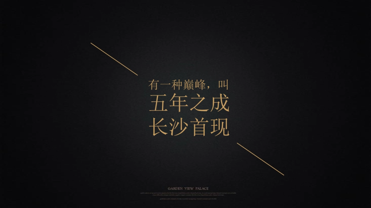 大拿中国-蓝光BRC年长沙项目起势及年度策略推广方案_第5页