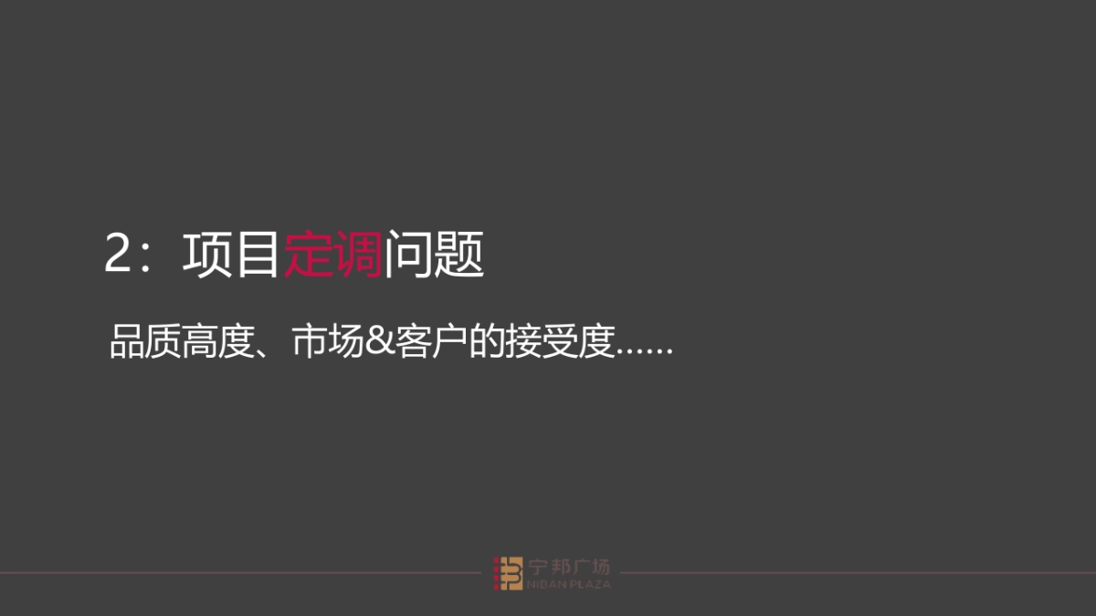 大拿中国-宁邦广场年整合推广策略_第5页