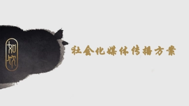 中式茶饮料社会化媒体传播方案