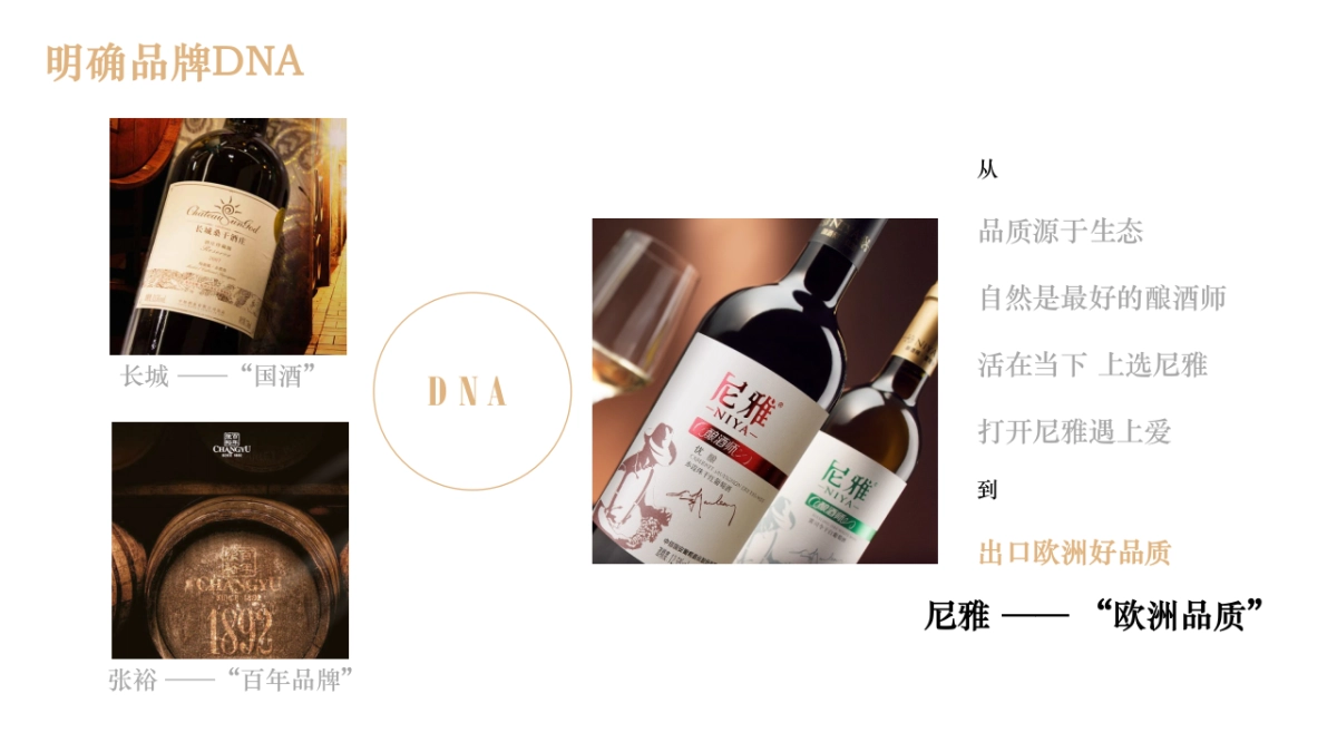 中信国安尼雅年度传播方案_第4页