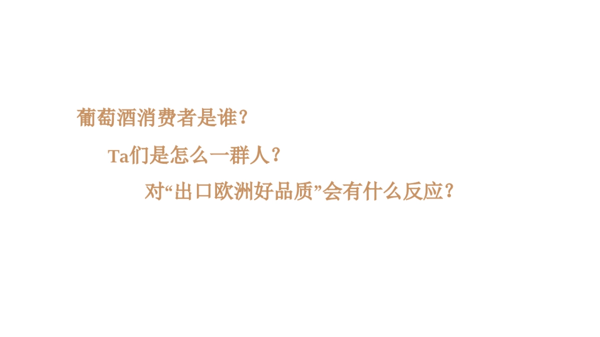 中信国安尼雅年度传播方案_第5页