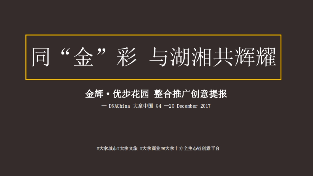 金辉岳麓大道优步花园项目整合推广策略提报_第5页