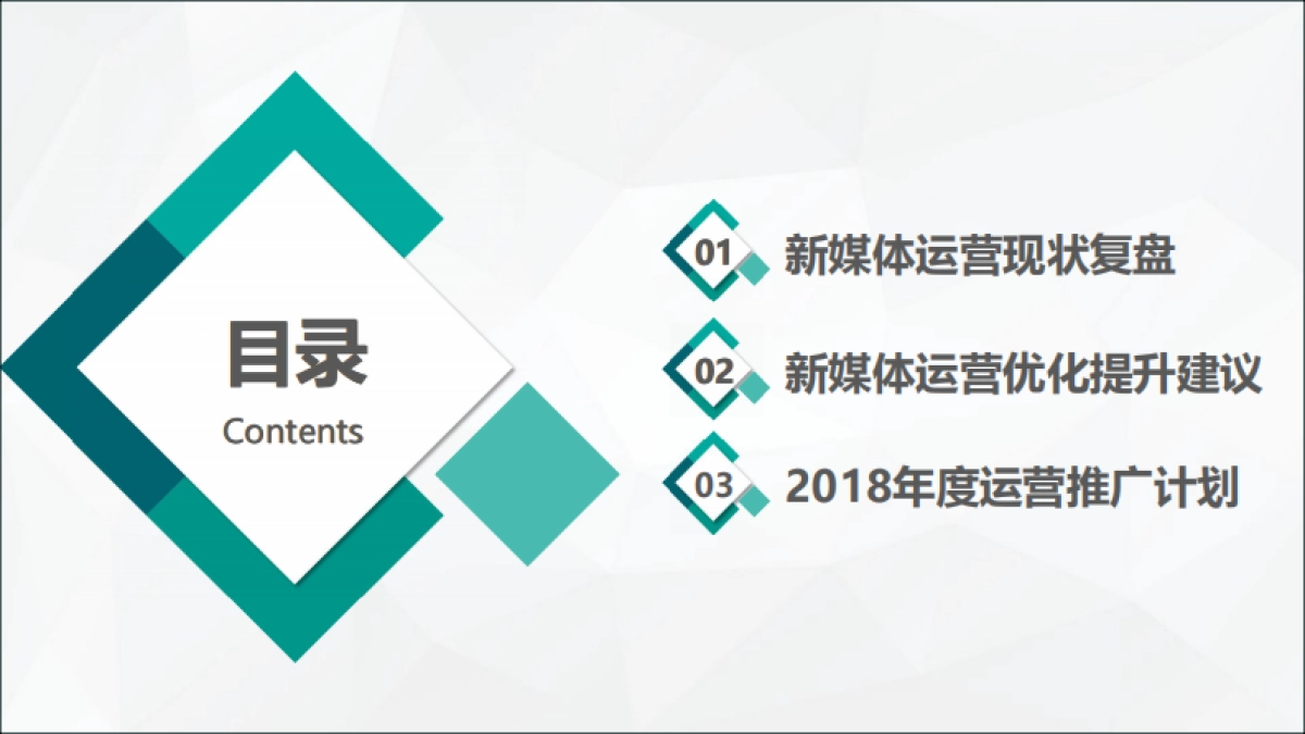 金牛管业年度推广方案_第2页