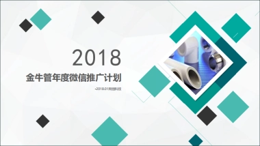 金牛管业年度推广方案