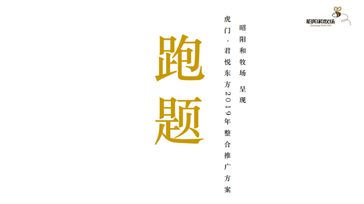 君悦东方洲际万象MALL年度整合推广方案_第3页