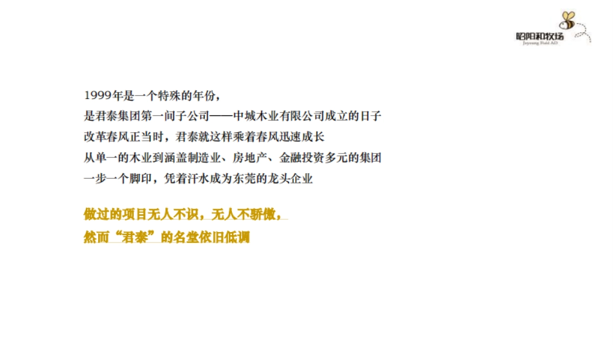 君悦东方洲际万象MALL年度整合推广方案_第6页