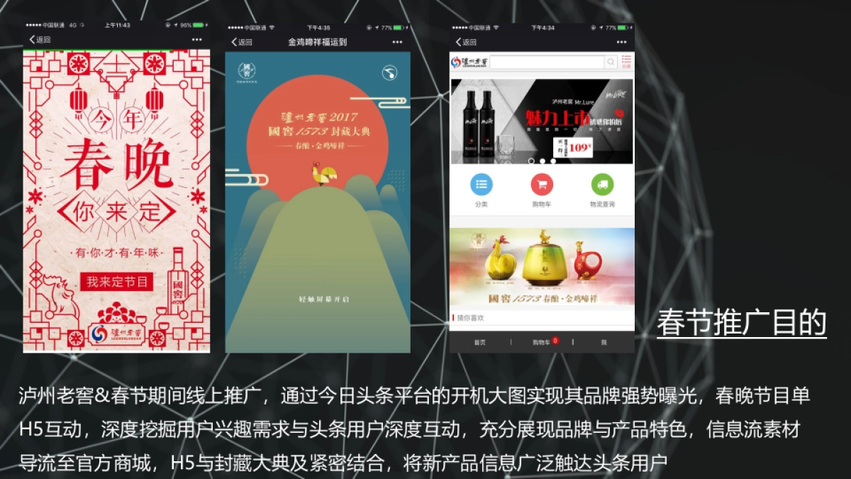 泸州老窖CNY·今日头条推广结案报告_第3页