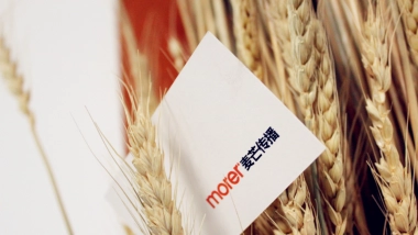 麦芒传播-中国铁建万科·翡翠国际年度推广