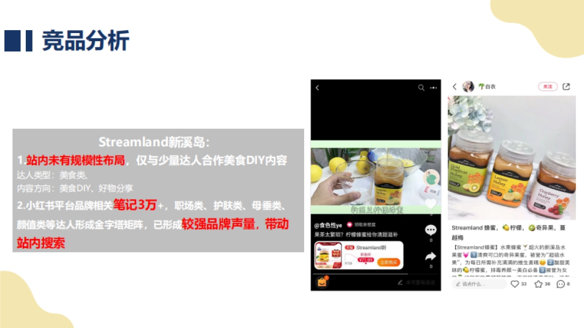 蜜纽康淘内投放方案_第10页