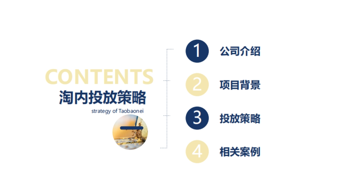 蜜纽康淘内投放方案_第2页