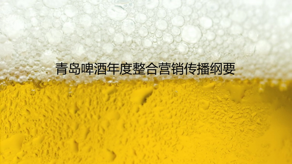 青啤整合营销推广策划方案_第1页