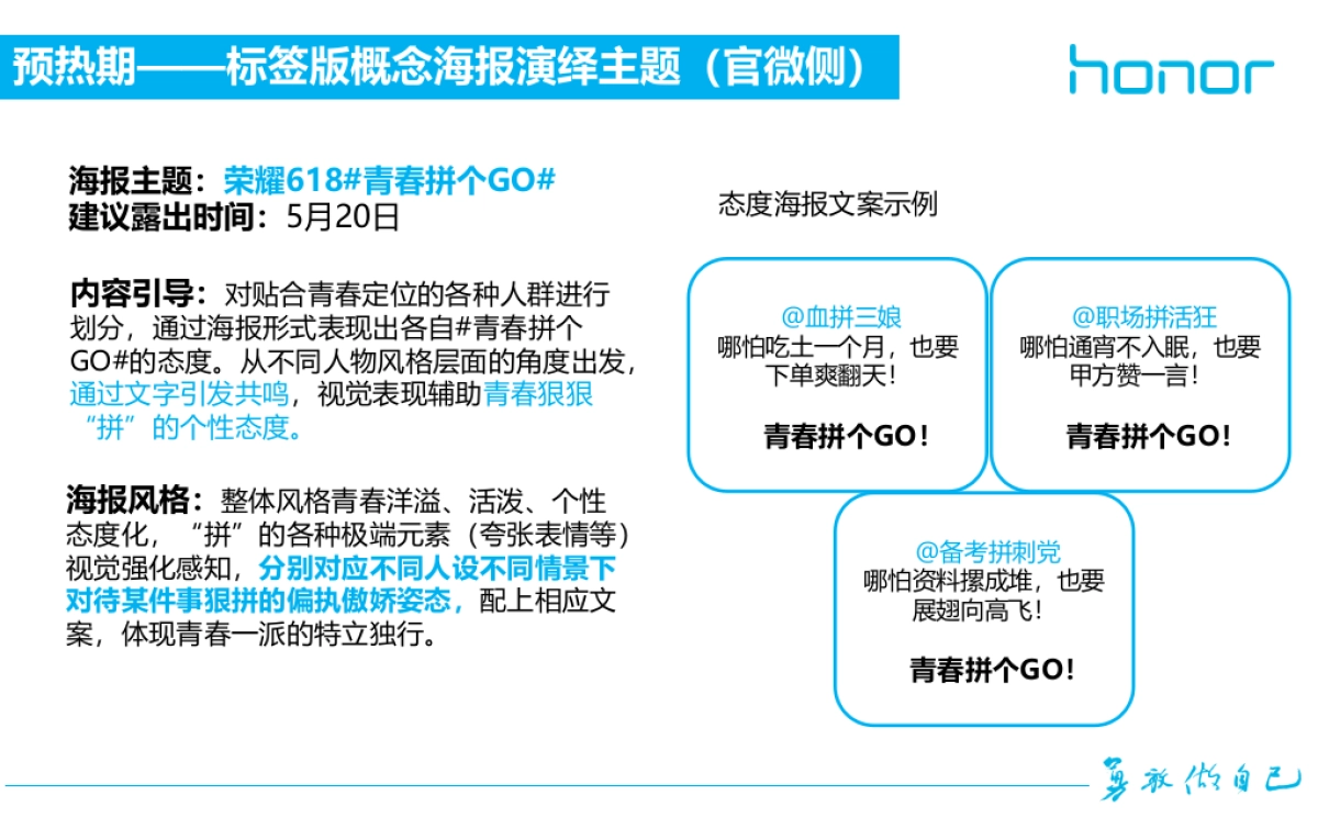 荣耀手机 209青春拼个GO209自媒体侧传播方案_第9页