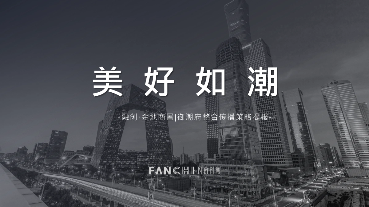 融创中新项目推广思考_第1页