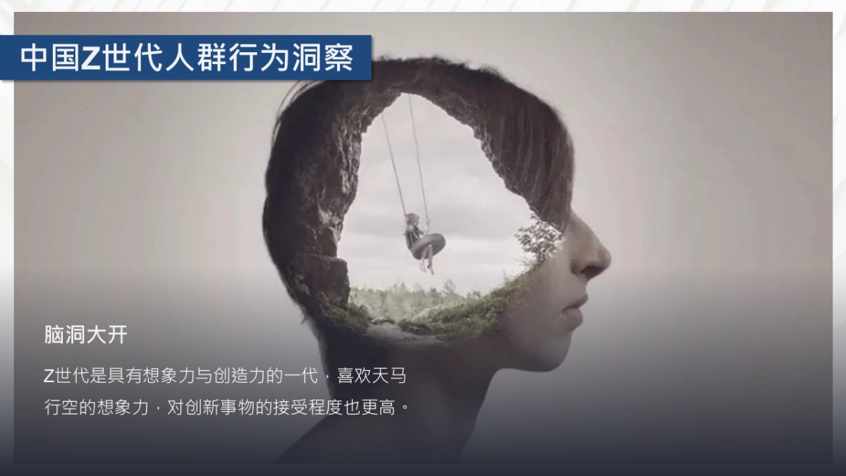 融创中新项目推广思考_第8页