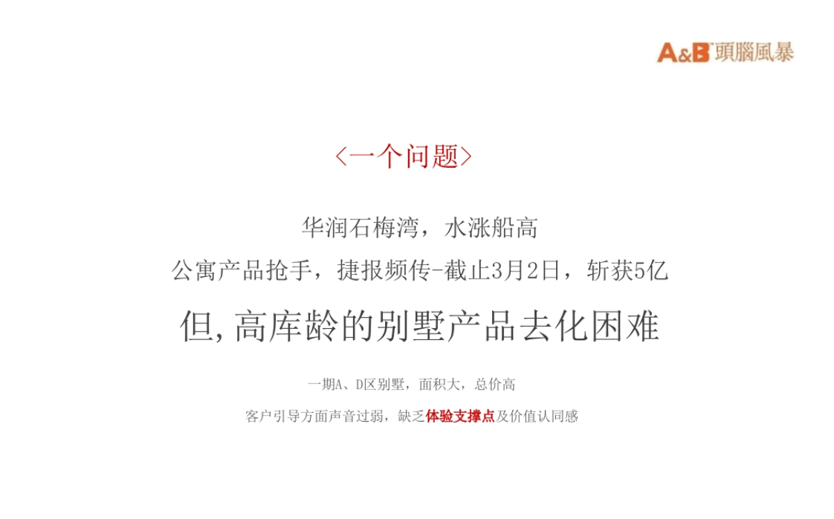 深圳(海南)头脑风暴-华润石梅湾年度推广方案_第4页