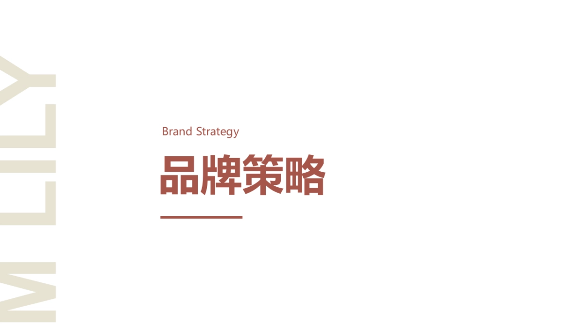 mlily梦百合品牌营销方案  智传媒_第7页