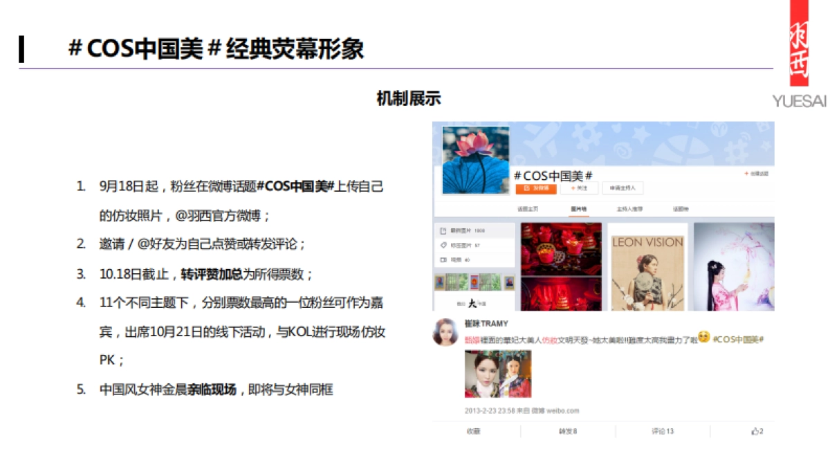 [ibluesocial]羽西双十一营销方案-0912_第8页