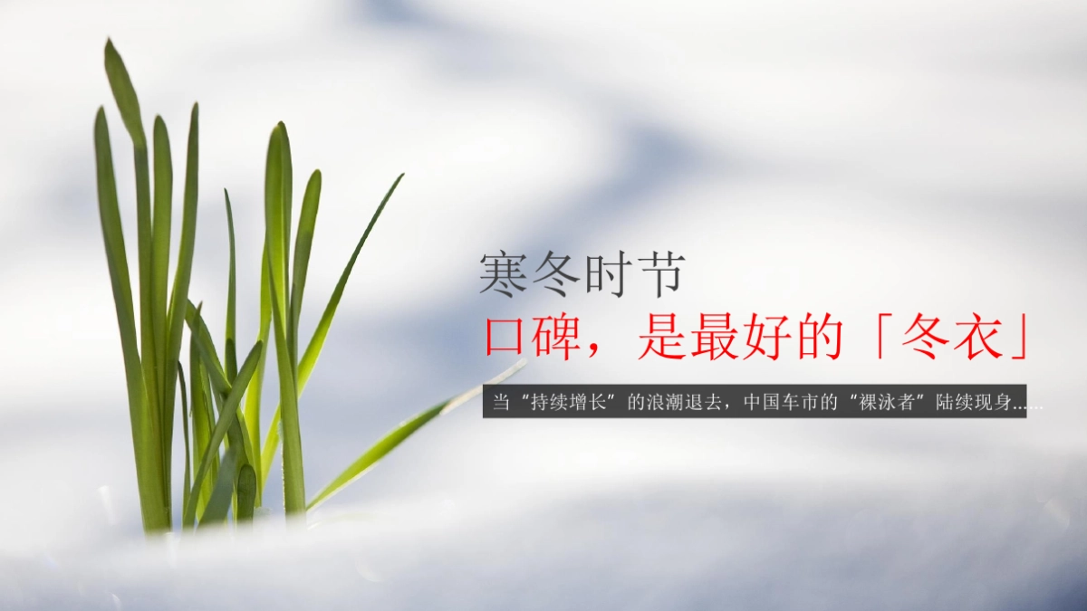 【新意互动】2019年+2020年长安福特品牌垂直论坛营销方案_第2页