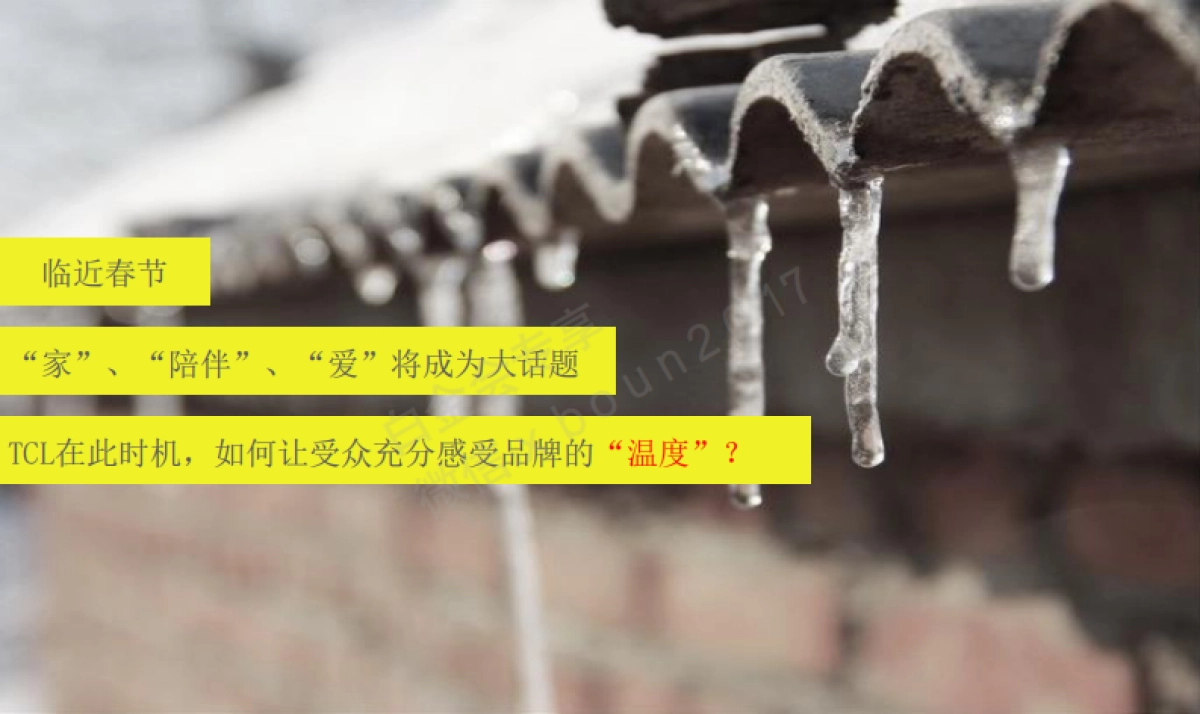2016 TCL话题营销方案情感篇_第2页