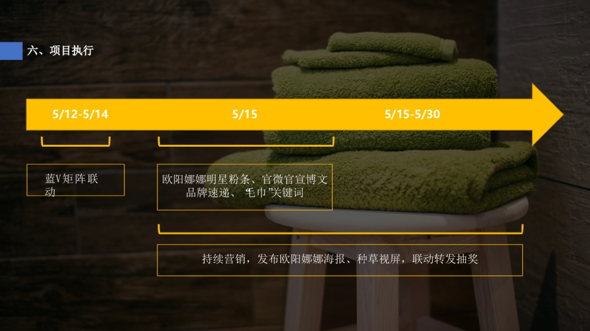 2019三利毛巾×欧阳娜娜官宣代言人微博营销结案_第9页