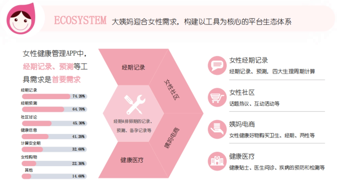 2020年大姨妈营销通案_第4页