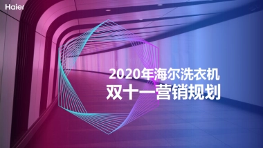 2020年海尔洗衣机双十一营销规划方案
