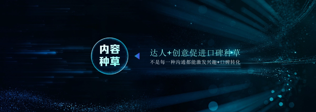 2020年美妆品牌爆品打造营销方案_第10页