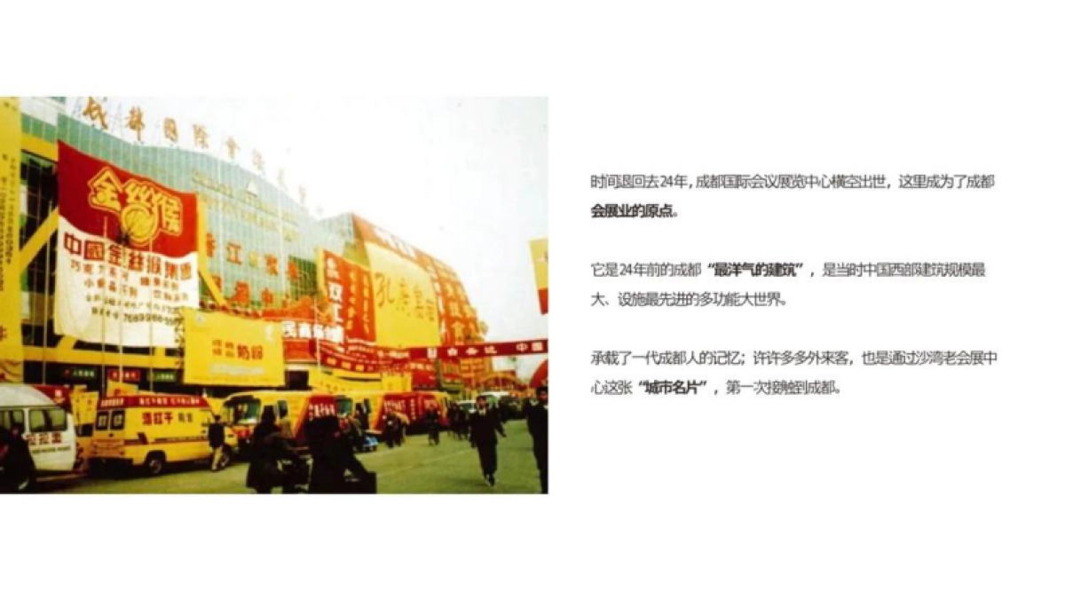 2020世纪沙湾项目IP思考十二生肖营销策略方案_第6页