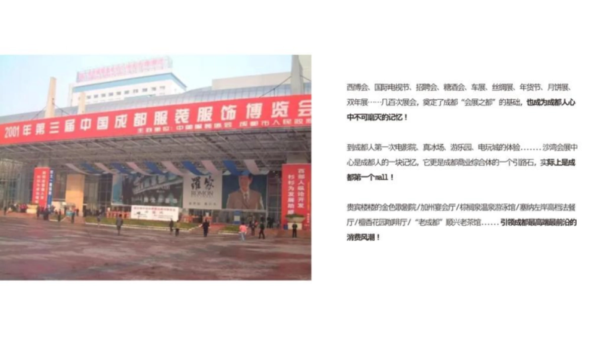 2020世纪沙湾项目IP思考十二生肖营销策略方案_第7页