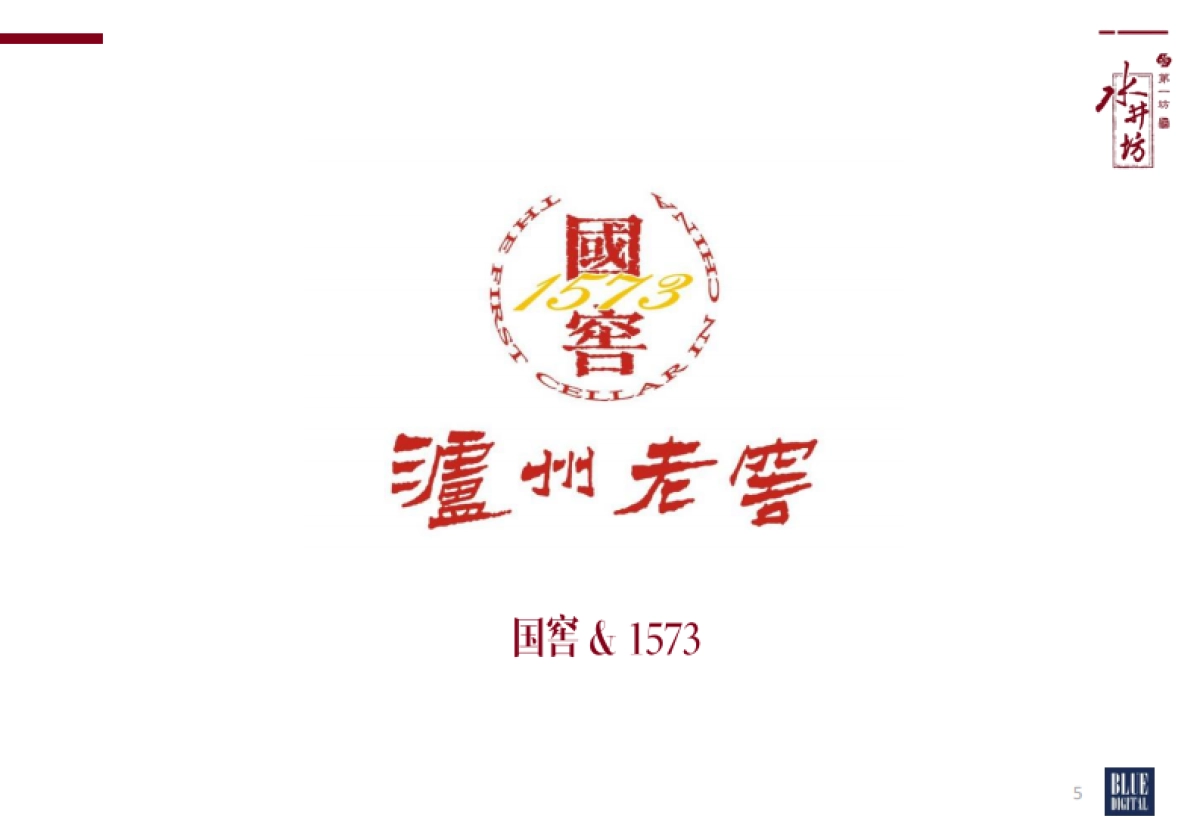 水井坊品牌焕新公关传播方案（蓝色光标）_第5页