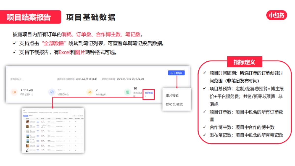 蒲公英项目结案报告产品手册_第4页