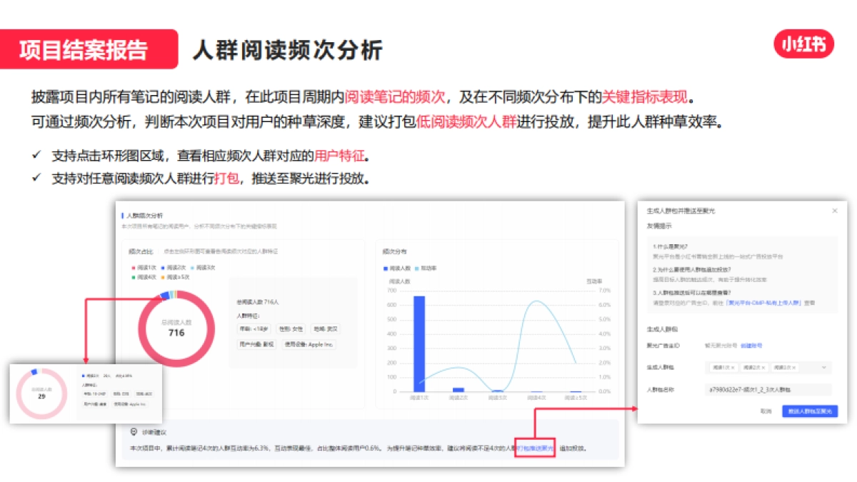 蒲公英项目结案报告产品手册_第6页