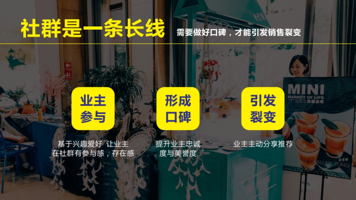 七彩云南拾光社简介_第5页