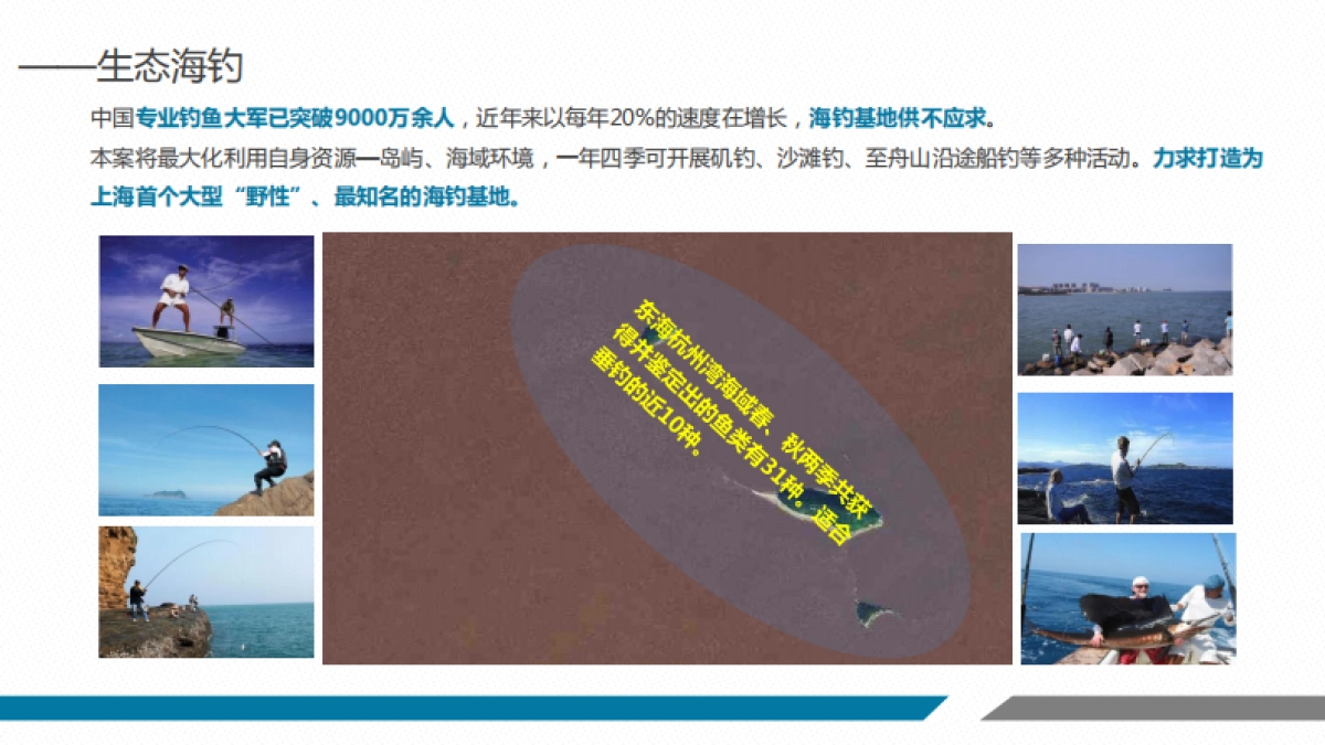 上海金山南部滨海区域文旅项目规划更新_第6页