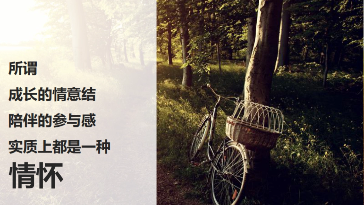 神武代言人Social方案_第6页