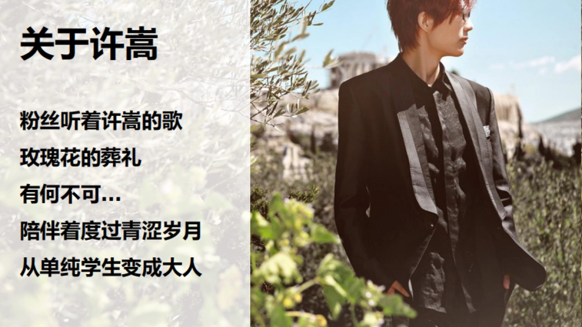 神武代言人Social方案_第8页