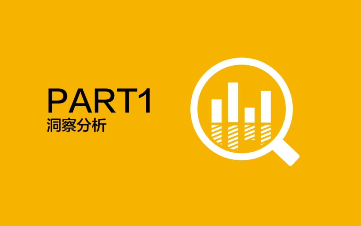 苏宁易购2016年度比稿方案_第2页