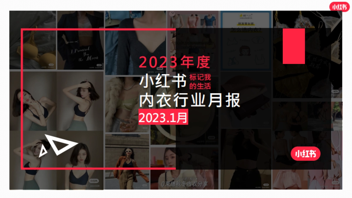 小红书·2023年内衣行业月报_第1页