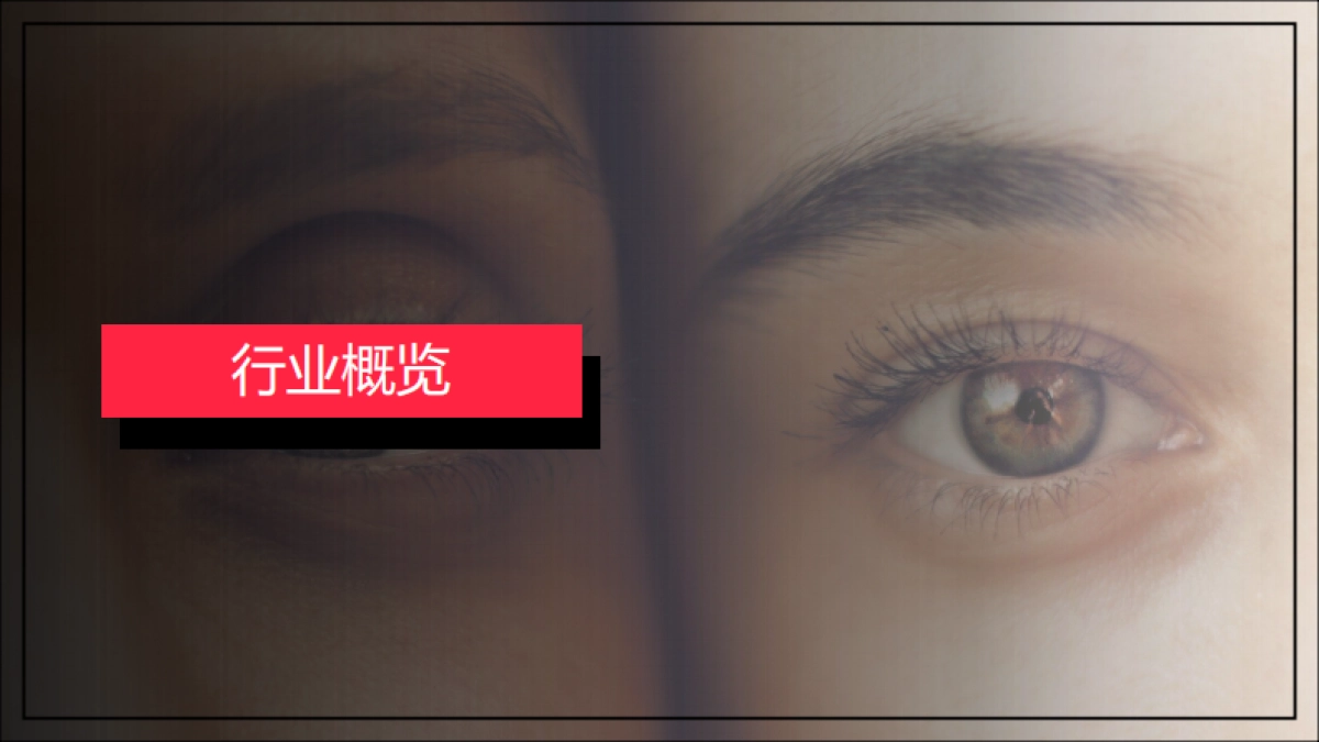 小红书·隐形眼镜行业月报_第3页