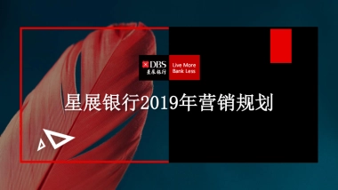 星展银行全年营销活动方案