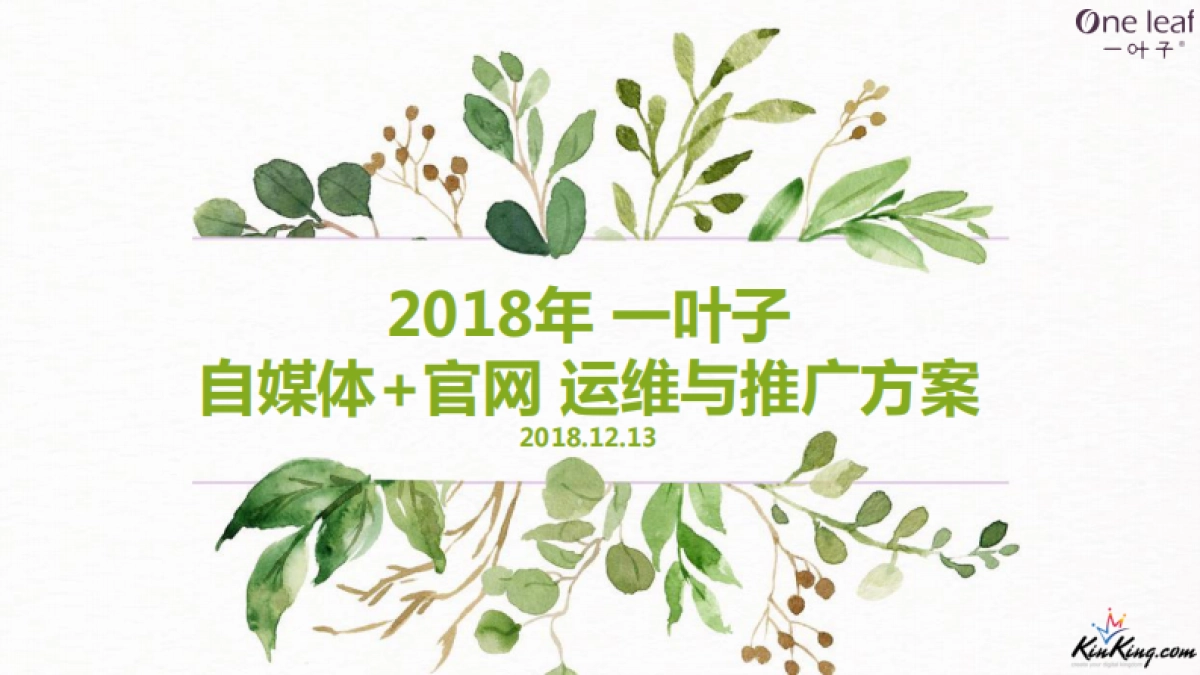 一叶子自媒体+官网运维方案_第1页