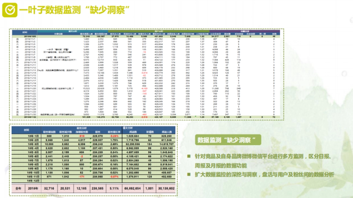 一叶子自媒体+官网运维方案_第10页