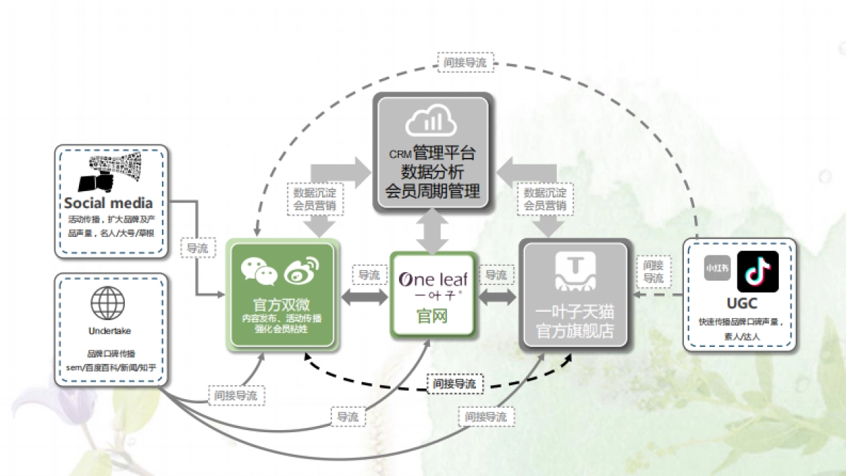一叶子自媒体+官网运维方案_第2页