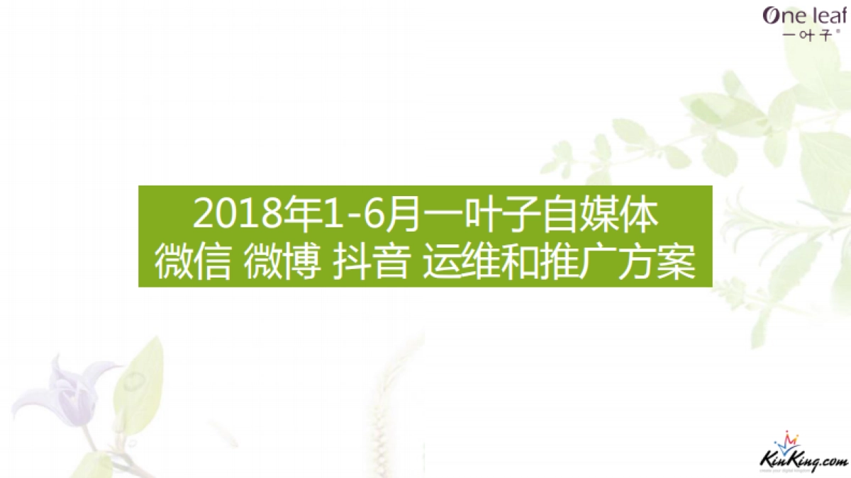 一叶子自媒体+官网运维方案_第3页