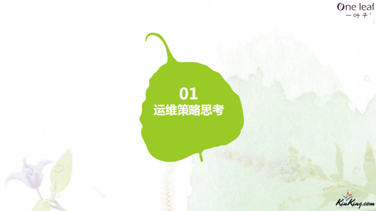 一叶子自媒体+官网运维方案_第5页