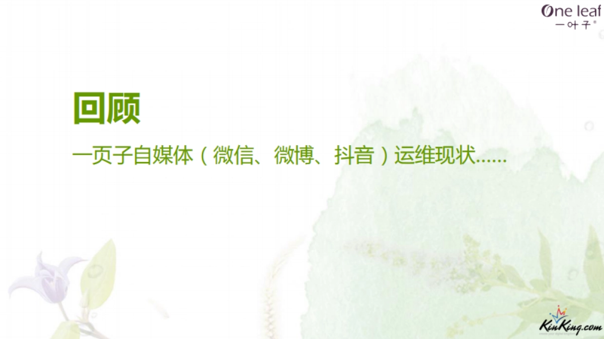 一叶子自媒体+官网运维方案_第6页