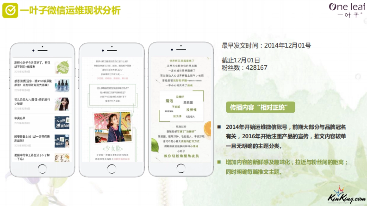 一叶子自媒体+官网运维方案_第7页