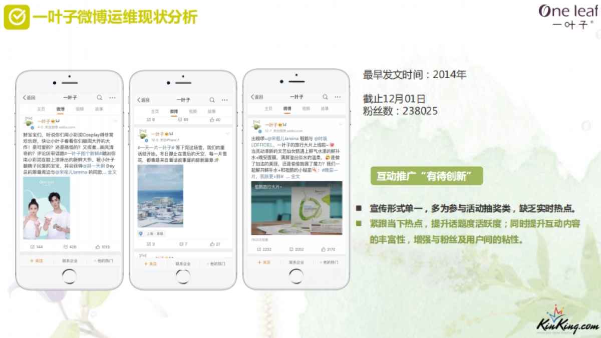 一叶子自媒体+官网运维方案_第8页