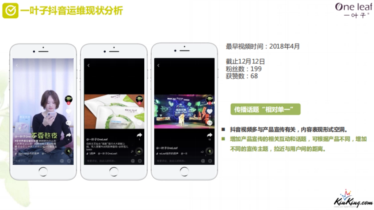 一叶子自媒体+官网运维方案_第9页
